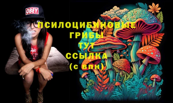 мдпв Балабаново