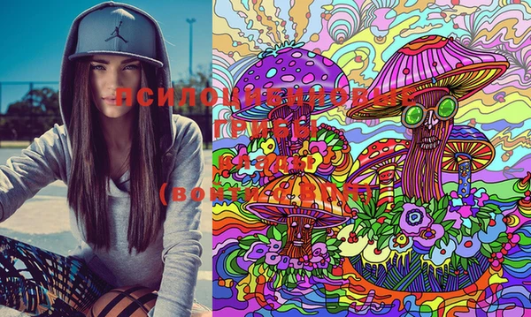 марки lsd Балахна