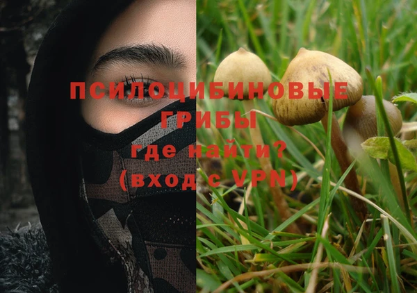 каннабис Баксан