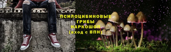 мдпв Балабаново