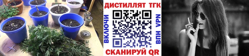 купить наркоту  Сокол  Дистиллят ТГК вейп с тгк 