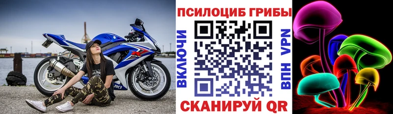 Галлюциногенные грибы ЛСД Сокол