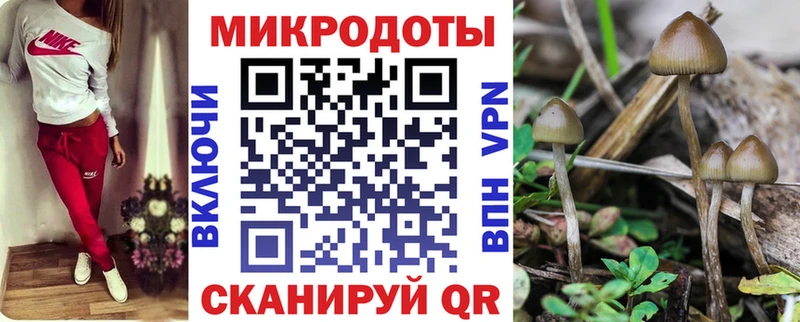 Псилоцибиновые грибы GOLDEN TEACHER  MEGA   Сокол  дарк нет как зайти  где купить наркотик 